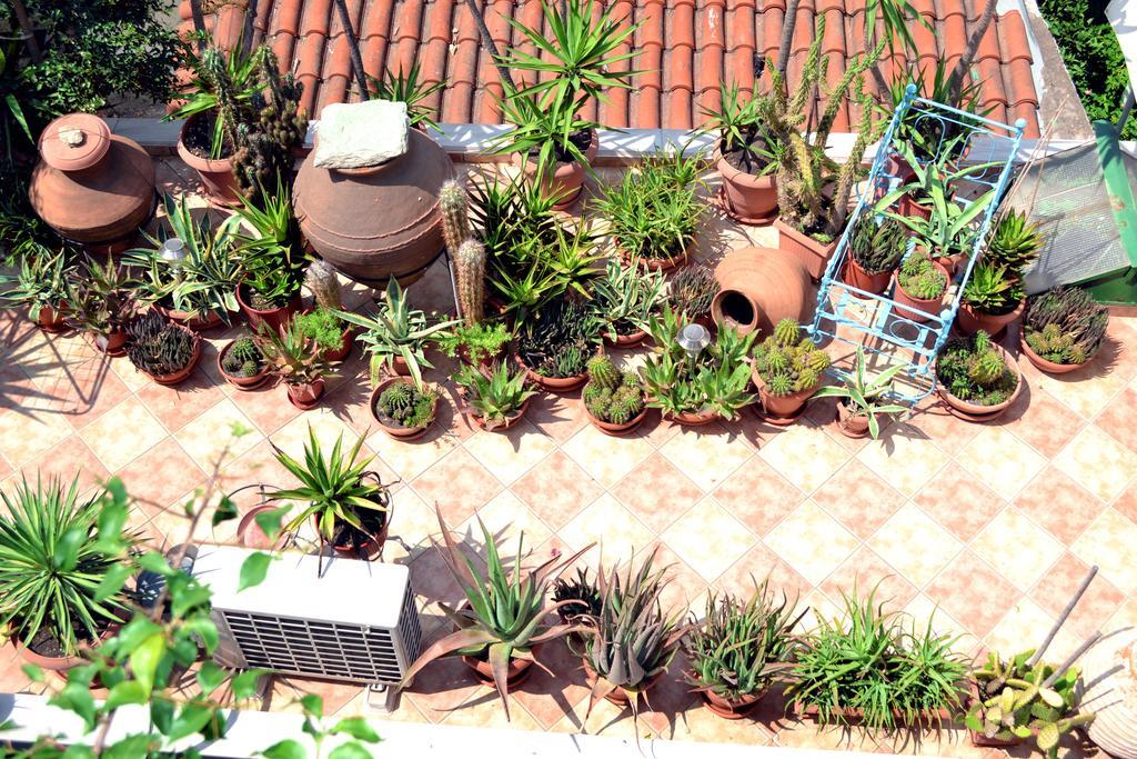 Aiolos House สเกียธอสทาวน์ ภายนอก รูปภาพ